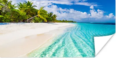 Produktbild von MuchoWow® Poster Palme - Meer - Tropisch 160x80 cm - Foto Poster