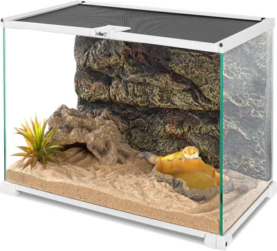 Zdjęcie produktu dla OiiBO Terrarium RAK05W - terrarium 50x30x35cm OiiBO