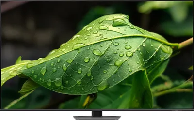 Produktbild von Samsung Neo QLED 4K QN85D (2024) Fernseher