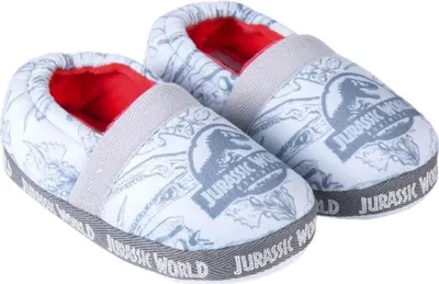 Obrázek produktu pro Cerdá Slippers 2300005474 in Blue color size 28-29