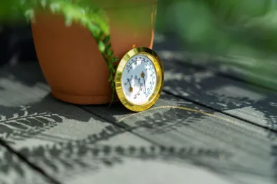 Produktbild von Vitavia Hygrometer mit Blister