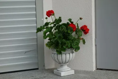 Produktbild von Design Blumentopf Top Planz Kübel Gefäß Töpfe Figur Gesicht Skulptur S104081