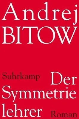 Produktbild von Der Symmetrielehrer