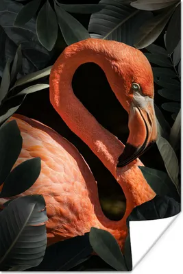 Produktbild von MuchoWow® Poster Flamingo - Porträt - Blätter 40x60 cm - Plakate für die Wand - Poster Babyzimmer