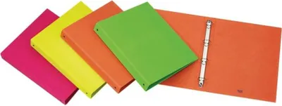 Immagine prodotto di Favorit 400052716 raccoglitore ad anelli Verde