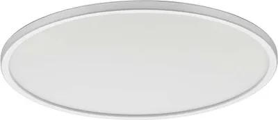 A white, round ceiling light with a gray rim, shown against a white background.