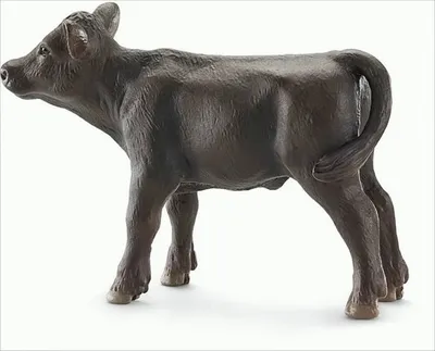 Produktbild von Schleich 13768 - Angus Kalb, Tier Spielfigur, schwarz