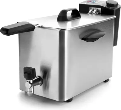 Image de Lacor 69134 69134-Fridora électrique, 4 l, 2500 W, 4 kg, acier inoxydable
