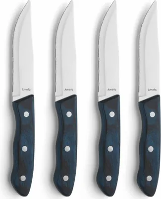 Image de Amefa Steakmessen Hercule 4 Stuks