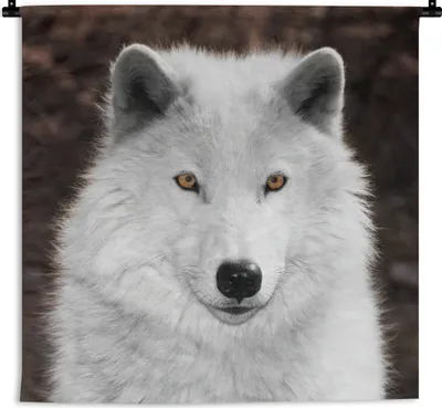 Produktbild von MuchoWow® Wandteppich Wandbehang Wolf - Weiß - Porträt 120x120 cm Tapisserie Dekoration Wandtuch - Modern - Baumwollgewebe