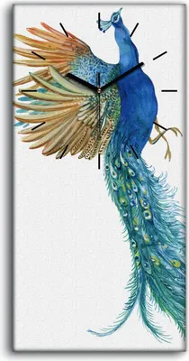 Produktbild von Wandkunst Leinwand Bild Uhr Geräuschlos 30x60 Gemälde Tier Vogel Pfau Kunst - schwarze Hände