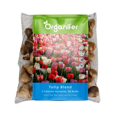 Produktbild von 50 Tulpenzwiebeln – 5 farbenfrohe Sorten (XXL Blumenzwiebeln Größe 12 cm/+) - Organifer