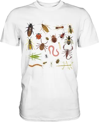 Produktbild von Insektenarten Biologie Entomologie T-Shirt – White / 5XL