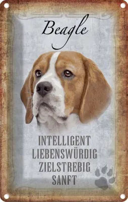 Produktbild von vianmo Blechschild 18x12 cm Beagle Hund Tier Haustier