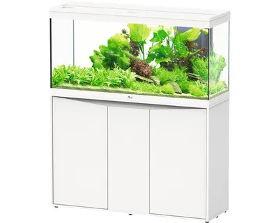 Produktbild von Aquariumkombination aquatlantis Splendid 240 inkl. LED-Beleuchtung, Filter, Unterschrank weiß