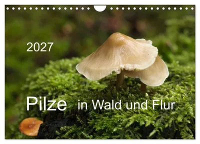 Produktbild von Pilze in Wald und Flur (Wandkalender 2027 DIN A4 quer), CALVENDO Monatskalender