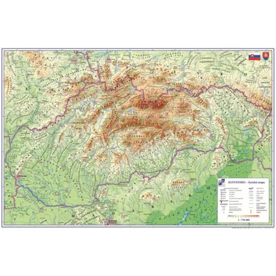 Produktbild von Karton P+P Pad in der Tabelle 60x40cm Slowakei 5-804