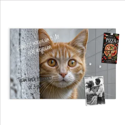 Produktbild von Magnettafel 60x40cm Pinnwand Whiteboard beschreibbar - Neugierige Katze