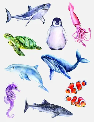 Produktbild von Kindertattoo Ozean