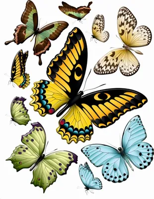 Produktbild von Sanders & Sanders Wandtattoo Schmetterlinge Gelb, Grün und Blau 85 x 65 cm