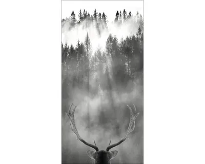 Produktbild von Giclée Leinwandbild Looking Deer 60x120 cm