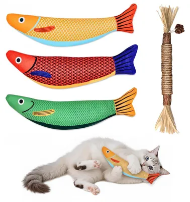 Katzenspielzeug mit Katzenminze, Kauspielzeug für Katzen