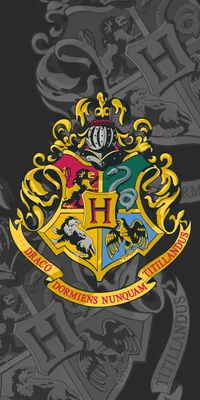 Immagine prodotto di Jerry Fabrics Asciugamano da spiaggia 70x140 Harry Potter Erba della Scuola di Magia e Stregoneria di Hogwarts 7858 cotone