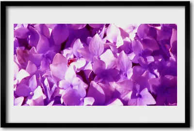 Produktbild von Bild 60x40 MDF-Rahmen Wandkunst Blumen Pflanzen Natur