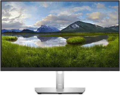 Image de Moniteur LED Dell - 61 cm (24")