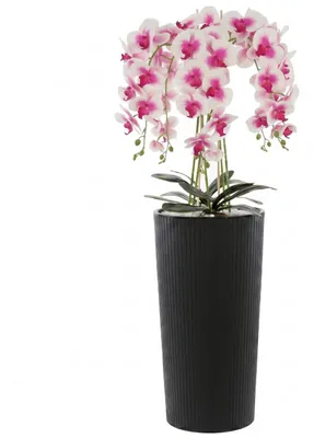 Produktbild von Künstliche Orchidee Cremerosa Kaskaden Blumenstrauß im Topf mit Rillen Anthrazit H 107,5 cm gummierte Blumen, 5 Triebe Heimbüro Dekoration Schön Stilvoll