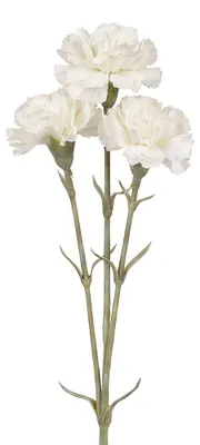 Productafbeelding van Clayre & Eef Decoratievaas Wit, kunststof