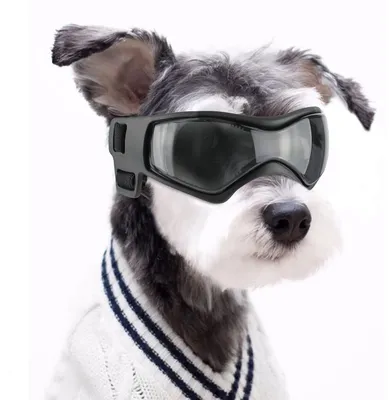 Produktbild von Hundesonnenbrille – UV-Schutz, wasserdicht, winddicht, verstellbar für kleine und mittelgroße Hunde (schwarz)