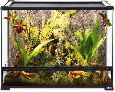 Zdjęcie produktu dla Terrarium 60 x 45 x 45 cm 1 szt
