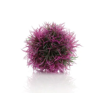 Produktbild von biOrb Gewächsball lila (46064)