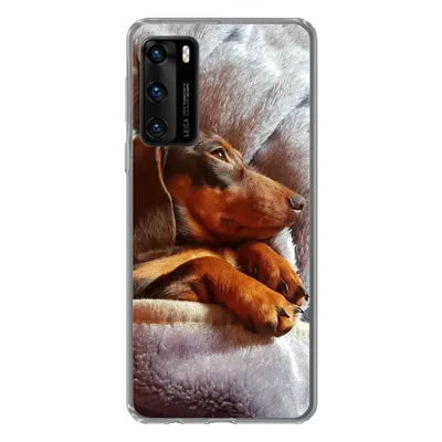 Produktbild von MuchoWow® Handyhülle Schutzhülle Hülle für Huawei P40 Niedlicher Dackel liegt unter der Bettdecke Silikon Softcase Handy Hülle - Handytasche