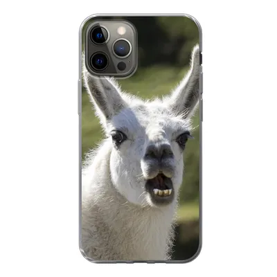 Produktbild von MuchoWow® Handyhülle Schutzhülle Hülle für iPhone 13 Pro Lama - Lustig - Kinder - Jungen - Mädchen - Kinder Silikon Softcase Handy Hülle - Handy-Tasche