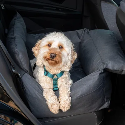 Image de Siège auto pour chien anthracite – panier voiture lavable