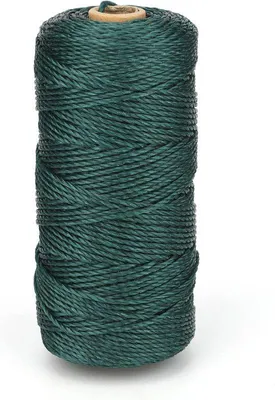 Image de 100 mètres de corde en nylon verte, corde en nylon de 2 mm, corde de jardin, corde pour loisirs créatifs, résistante aux intempéries, corde indéchirable pour le jardinage, le tuteurage, le camping, l'artisanat et les loisirs créatifs