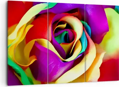 Produktbild von Bild auf Leinwand - Leinwandbild - Blume Farbe Rose - 105x70cm - Wand Bild - Wanddeko - Wandbilder - Leinwanddruck - Bilder - Kunstdruck - Wanddekoration - Leinwand bilder - Wandkunst - CE105x70-3623