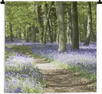 Produktbild von MuchoWow® Wandteppich Wandbehang Wald - Weg - Blumen - Lila - Grün - Natur 90x90 cm Tapisserie Dekoration Wandtuch - Wandaufhänger