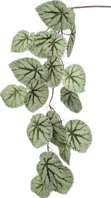 Produktbild von artplants.de Kunstzweig Blattbegonien Zweig Meira, grün-grau, 110cm - Deko Buntnessel