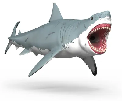 Produktbild von Megalodon – schleich® DINOSAURS