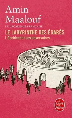Image de Le Labyrinthe des égarés