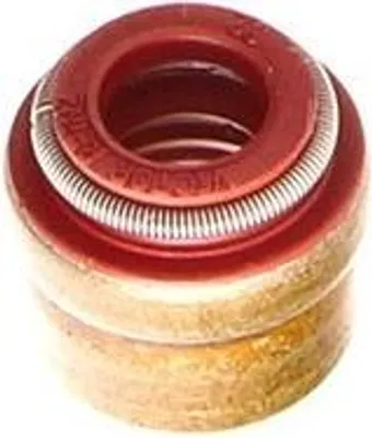 Produktbild von REINZ Ventilschaftdichtung 70-12548-00 für VW Golf VII Schrägheck (5G1, BQ1, BE1, BE2)