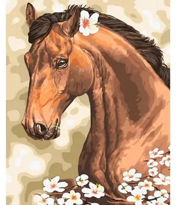 Produktbild von Malen nach Zahlen: Pferd, Blume, 50x40 cm, auf Leinwand, bereits auf Keilrahmen gespannt