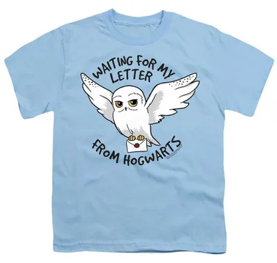 Produktbild von Harry Potter - T-Shirt für Kinder TV37292 (152-158) (Hellblau)