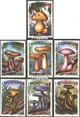 Produktbild von Briefmarken Nicaragua 1985 Mi 2561-2567 (kompl.Ausg.) gestempelt Pilze