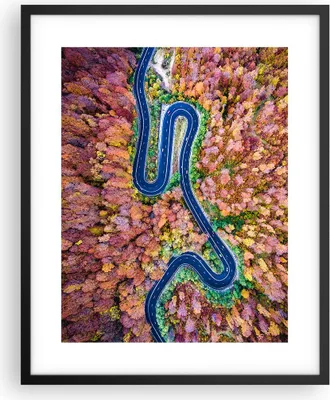 Produktbild von Gerahmtes Poster - Schwarzer Rahmen - Kurvenreich Weg Wald - 40x50 cm - Wand Bild - Wanddeko - Wandbilder - Kunstposter - Wandposter - Bilderrahmen - Bilder - Kunstdruck - Wandbild - P2BPA40x50-4291