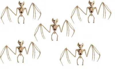 Produktbild von 5 x Halloween Fledermaus Skelett 30cm Hängend Beweglich Gruseldeko Horror Party