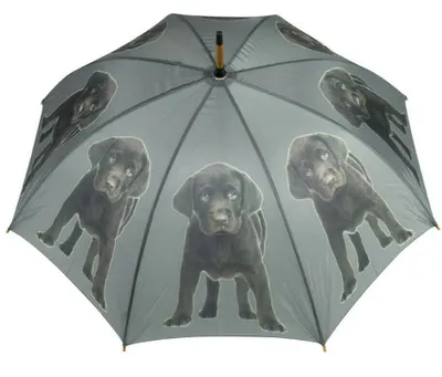 Image de Mars&More regenschirm labrador braun BBPLC